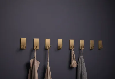 A row of evenly spaced sturdy brass wall hooks mounted on a horizontal rail